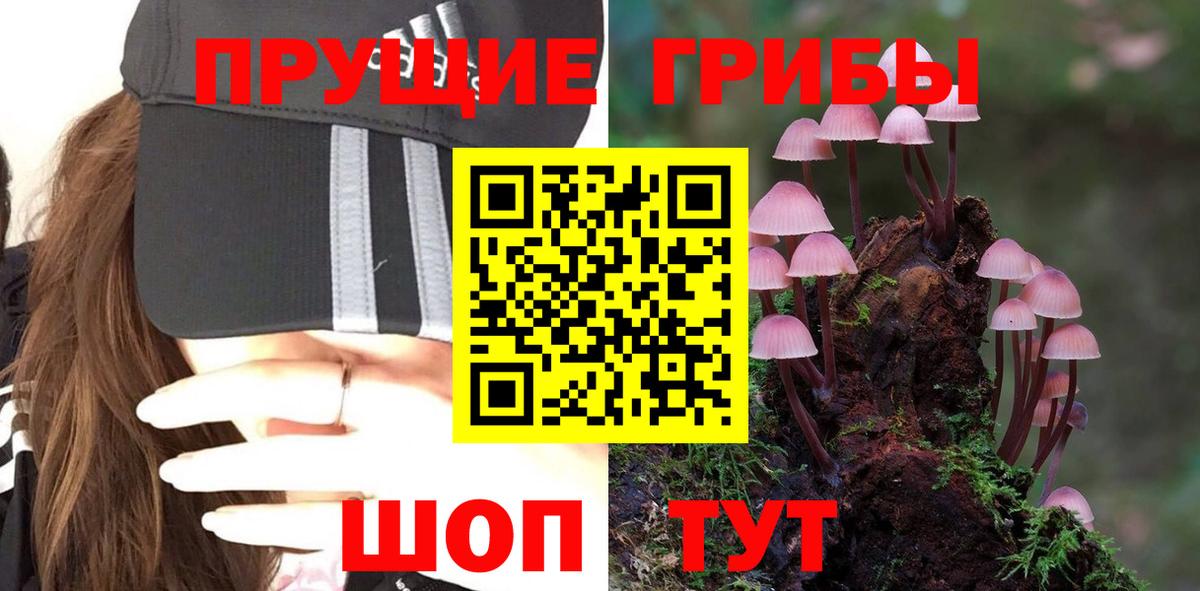 где купить наркоту  Псилоцибиновые грибы Magic Shrooms  Кумертау  Вход с VPN  Псилоцибиновые грибы мицелий 